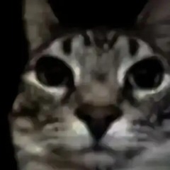 Dj_Rectangle-Turntable_Terror