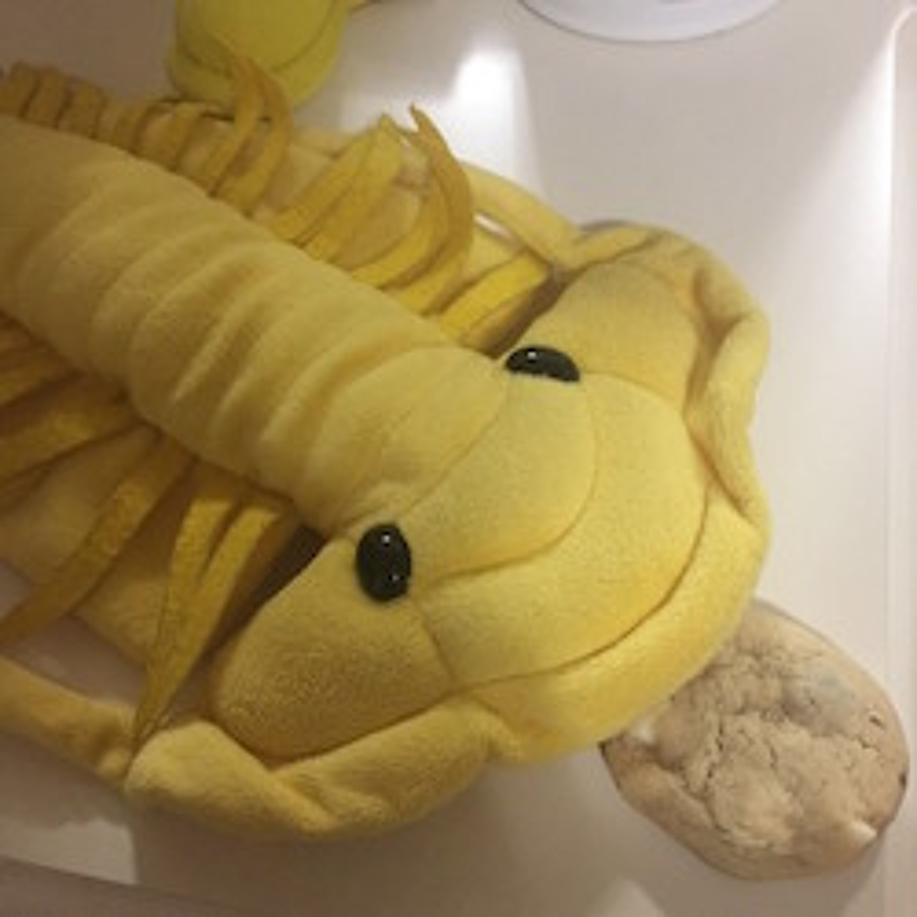 Hungry Trilobyte Podcast