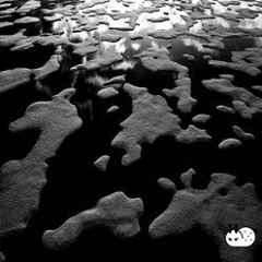 Saesoul - Polynia (Original Mix)