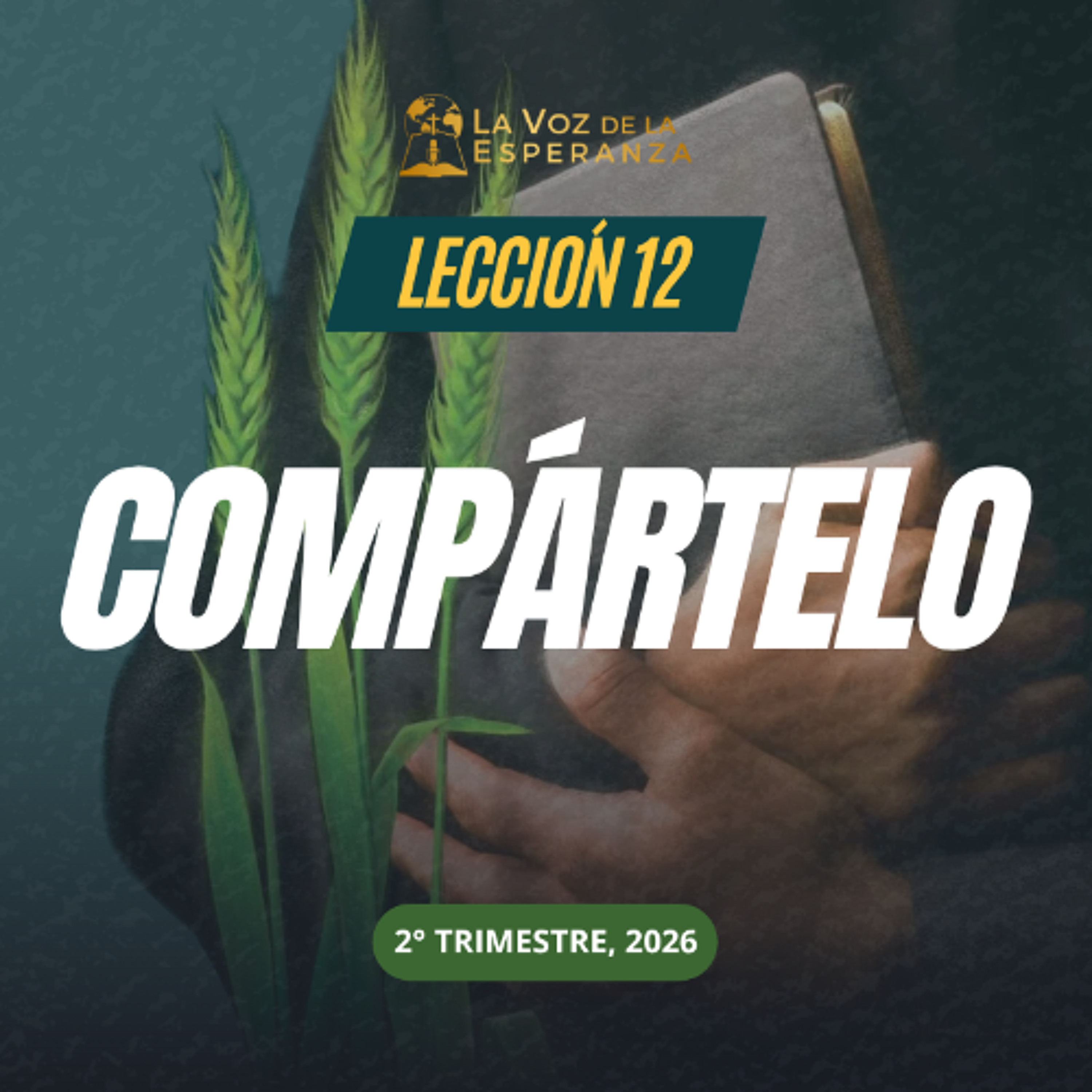 Lección 12 - Compártelo