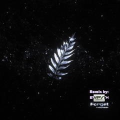 rubylaser - Forget (EWPVTH Remix)