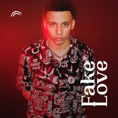 Fake Love