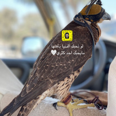 ‎⁨هبوب الصفاري⁩.m4a