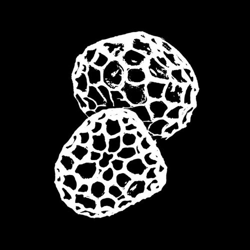 Chupacabras - Against Time - LF012 (12" mini album snippets)