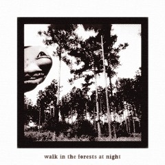 walk in the forests at night