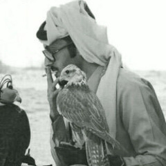 الشاهد الله