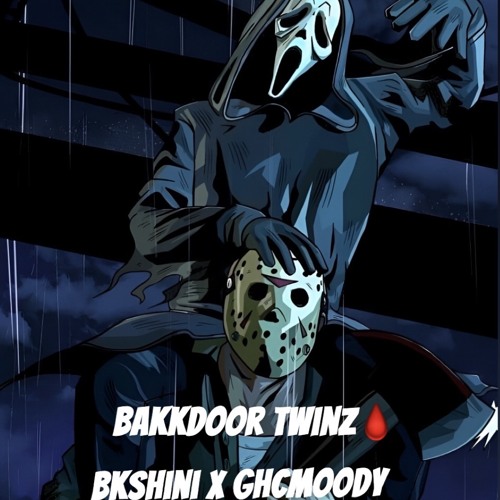 Bakkdoor TwinZ