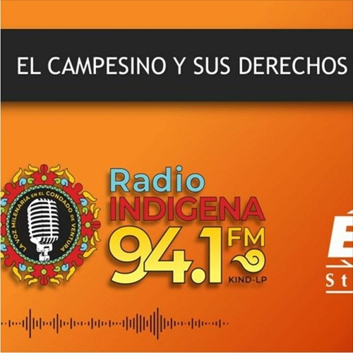 Stream episode 21.- EL CAMPESINO Y SUS DERECHOS #21 SALARIO MINIMO PARA  2021 by Radio Indígena 94.1FM podcast | Listen online for free on SoundCloud