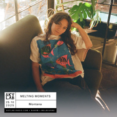 Melting Moments ep 19 - Skylab Radio