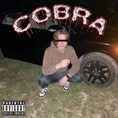 COBRA (prod. LOXXANI)