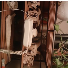 the reason behind this call is...