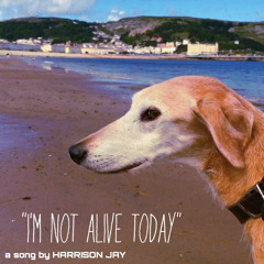 I'm Not Alive Today [unmastered - mastered version on Spotify]