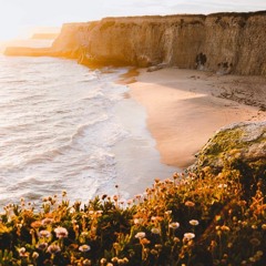 عن الجنة - جنة الفردوس - جنة المأوى - جنات عدن - الموطن الأول