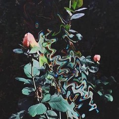 messialogx w/babybxysmxke & bluslime (prxdby.xnx)