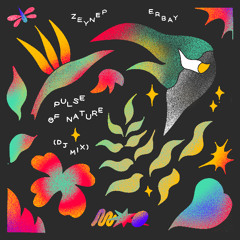 Soul Clap Records Show - Zeynep Erbay's "Pulse of Nature" Mix
