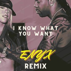 Busta Rhymes, Mariah Carey - I Know What You Want (Enyx remix)
