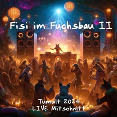 Tumult Festival 2024| Fisi im Fuchsbau II | Felsenschlucht Fr 22-24