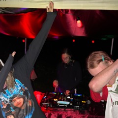 messy wild and free (the bouncy ass shakin kehrer mix)