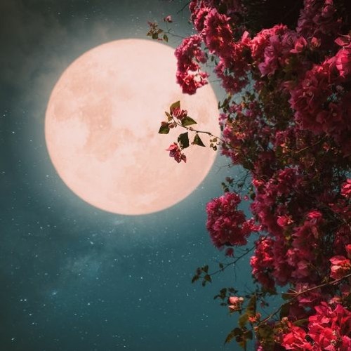 Beautiful Relaxing Piano For Sleep