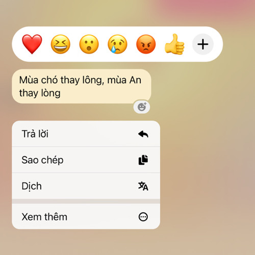 Chieu nay mua giong o dau
