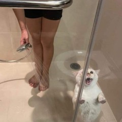 bad mind shower