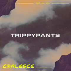 TrippyPants @ The Barrel 2023