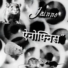 ऐनोफ्निस"