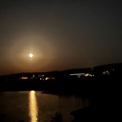 IIIegalSeeSummerSession2