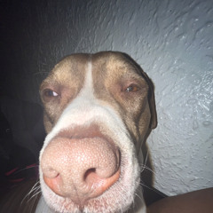 sadness and sorry x smoke (slowed)