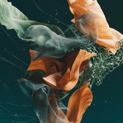 Equilibrium