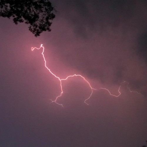 Stream Lightning Dog by ChrisSpitzli Listen online for free on SoundCloud