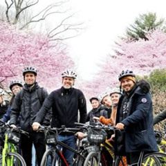 Review Special Price Washington Dc Cherry Blossoms By Bike Tour