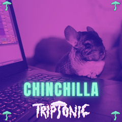 TRIPTONIC - CHINCHILLA