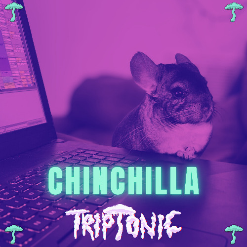 TRIPTONIC - CHINCHILLA