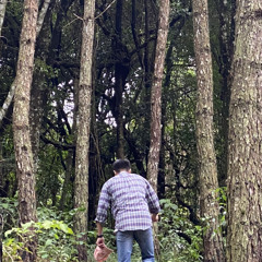 playlisy make johnny come