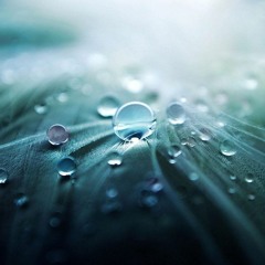 Rain Meditation | Mindful Way Coaching