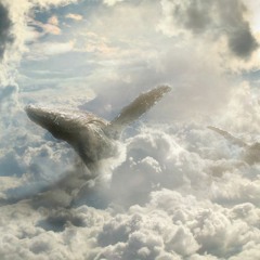 Soldier For The Wind