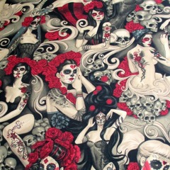 Conchas Y Cigarillos