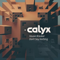 Calyx - Don't Say Nothing