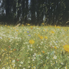 우리가 헤어져야 했던 이유(cover)