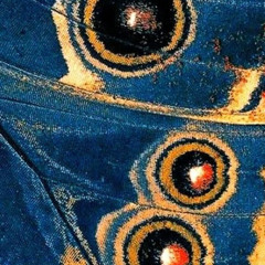 turnback. (with.세웅)