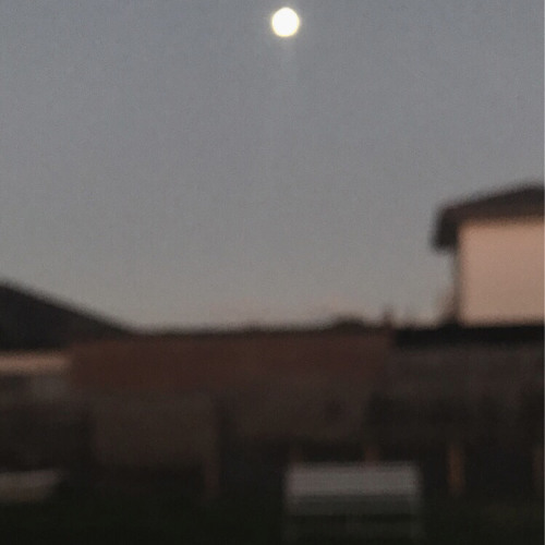 Fxck_AnewChapter_RestartMybook!