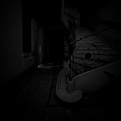 *noconfio (feat. @zzava22)