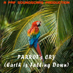 Parrot's Cry (Earth is falling down)