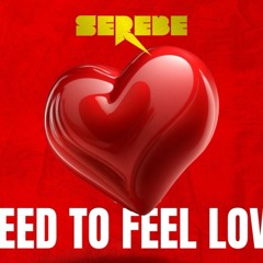 Serebe "Need To Feel Loved"