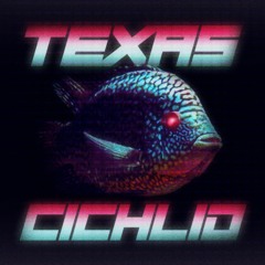 Texas Cichlid(텍사스시클리드)(with Hometown Boogie, .WAV)