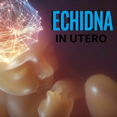 ECHIDNA - IN UTERO
