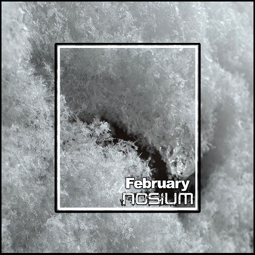 Nosium - February