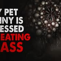 ”My pet bunny is obsessed with eating glass” Creepypasta