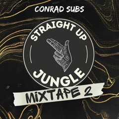 Straight Up Jungle Mixtape 2